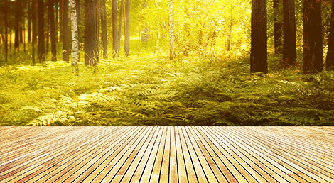  揚州凱文家居生活用品有限公司